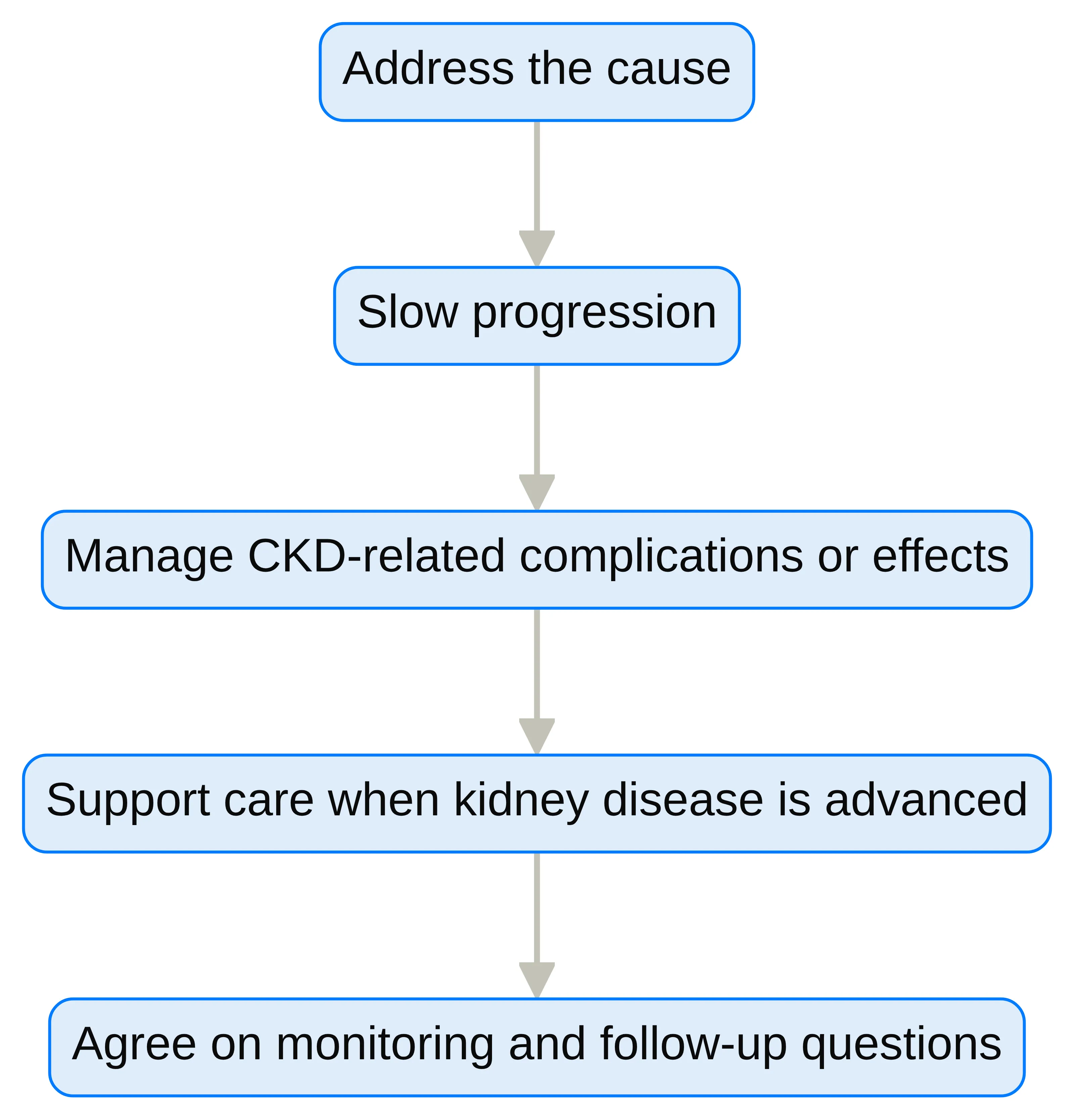 Process chart showing four purposes in the CKD treatment conversation: address the cause, slow progression, manage CKD-related complications or effects, and support care when kidney disease is advanced, followed by agreeing on monitoring and follow-up questions.